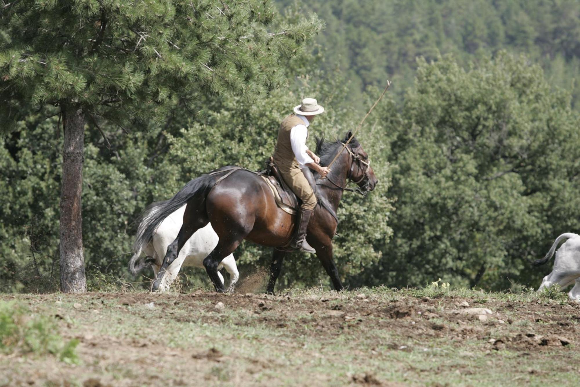 Agriturismo La Forra คาวริเลีย ภายนอก รูปภาพ
