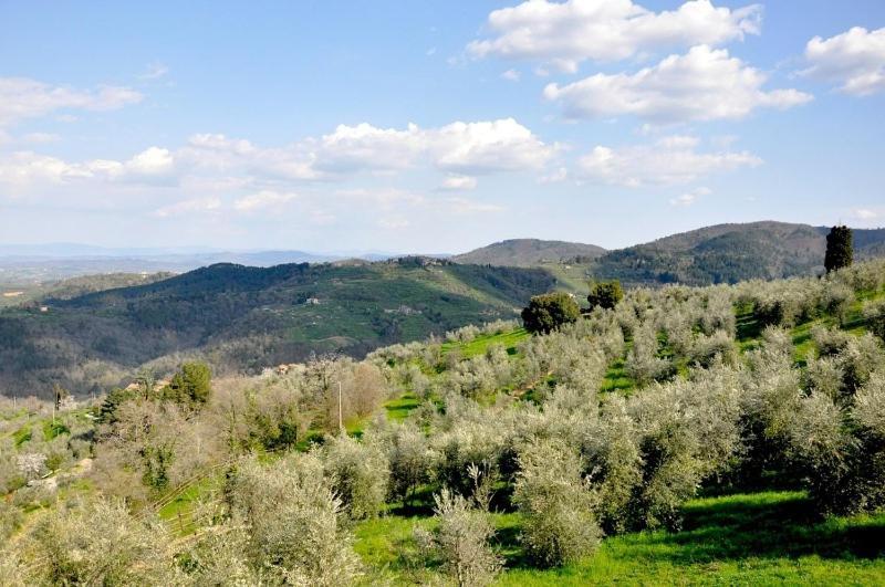 Agriturismo La Forra คาวริเลีย ห้อง รูปภาพ